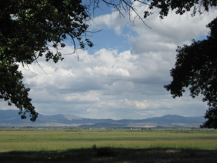 Main Photo