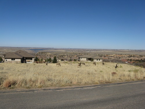 11169 Lookout Run, Littleton, CO, 80125, US