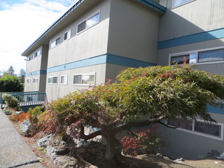 Main Photo
