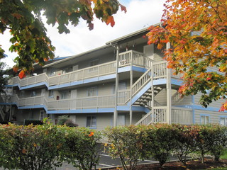 Main Photo