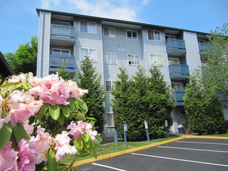 Main Photo