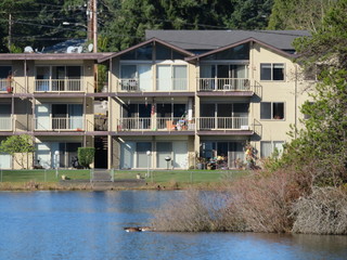 Main Photo