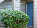 Front Door L4