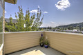 Deck - SE facing