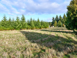 Main Photo