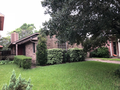 Lawn view