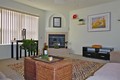Gas Log Fireplace
