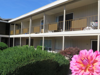 Main Photo