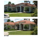 Tile Roof Cleaning