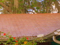 Shingle Roof Cleaning