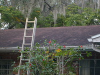 Shingle Roof Cleaning