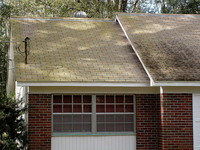 Shingle Roof Cleaning