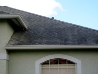 Shingle Roof Cleaning