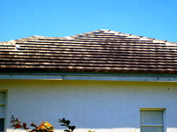 Tile Roof Cleaning