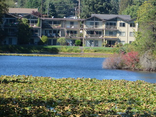 Main Photo