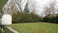 backyard with shedF