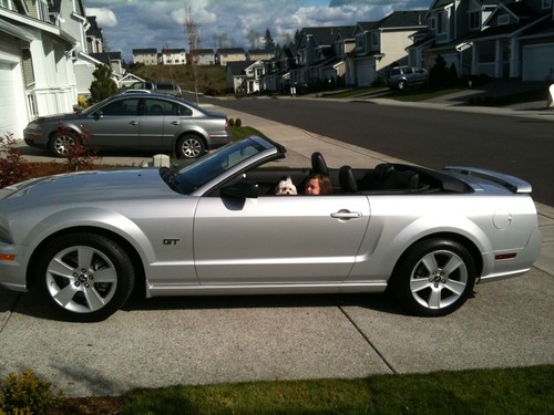 Image 7 of 2006 Ford Mustang GT…