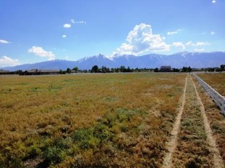 Main Photo