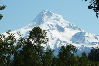 Main Photo