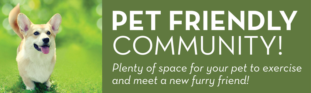 Pet-Friendly.jpg