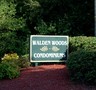 Walden Woods