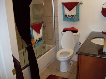Bathroom - First House