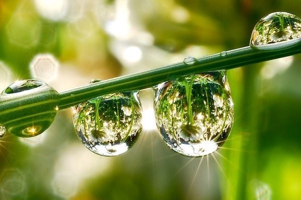 http-inlinethumb16.webshots.com-10895-2828853770104237032S600x600Q85.jpg