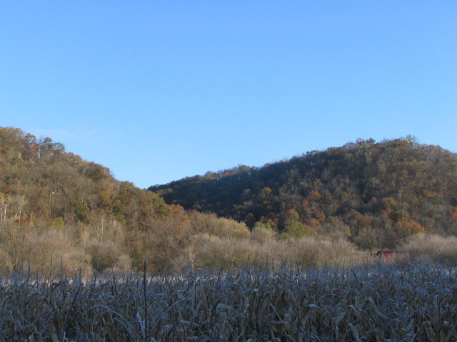 IMG_1176.JPG