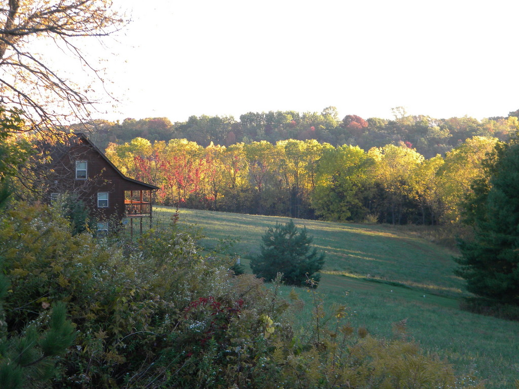 Grove.JPG