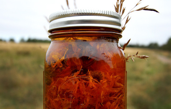 calendulaoil.jpg