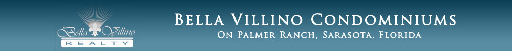 VflyerBannerforBV1000pixels.jpg