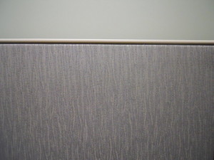DSCN1807.JPG