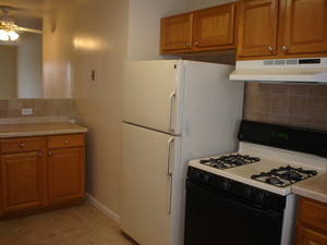 KitchenBirch(2).JPG