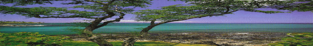 19685215405_DmS9L.png