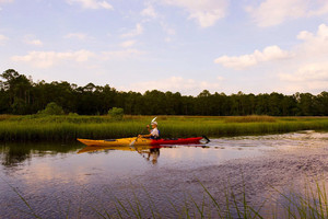 creekphoto.jpg