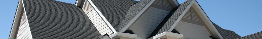 RooflinesB.jpg