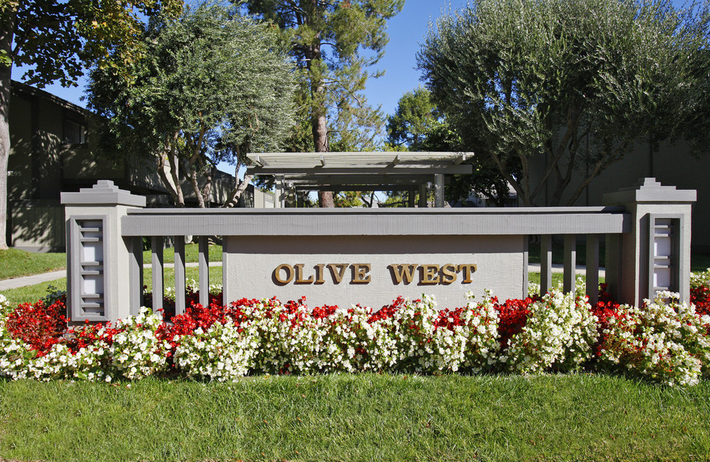 Home OLIVE WEST APARTMENTS