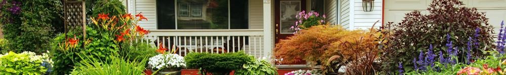 Front-Yard_B.jpg