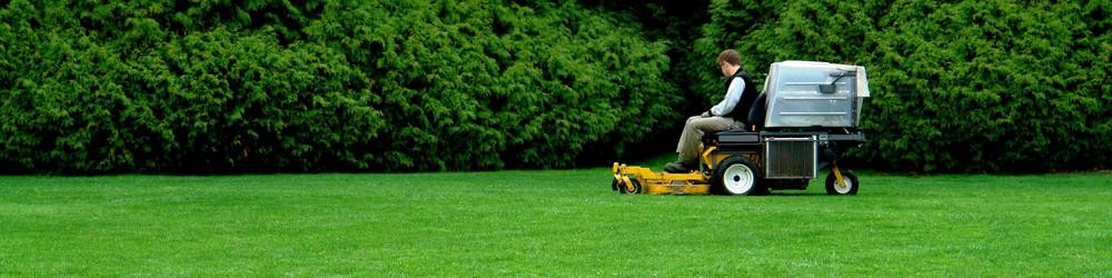lawn-mower_A.jpg