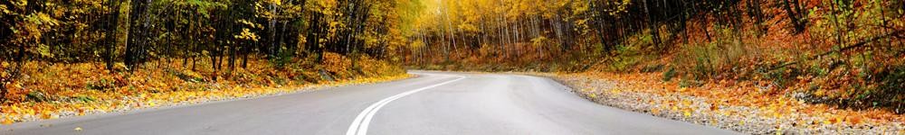 AutumnRoadB.jpg