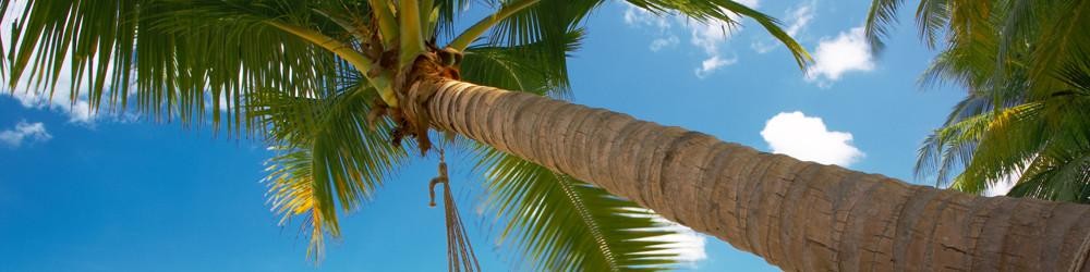 HammockA.jpg