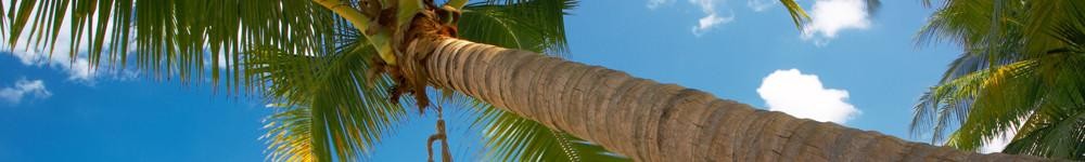 HammockB.jpg