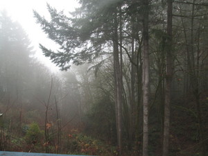IMG_0017.JPG