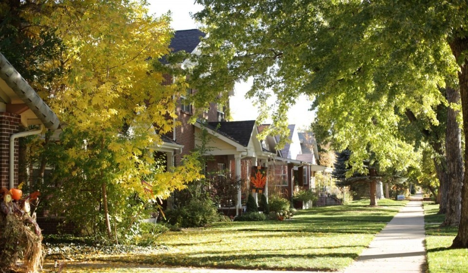 WashPark1.jpg