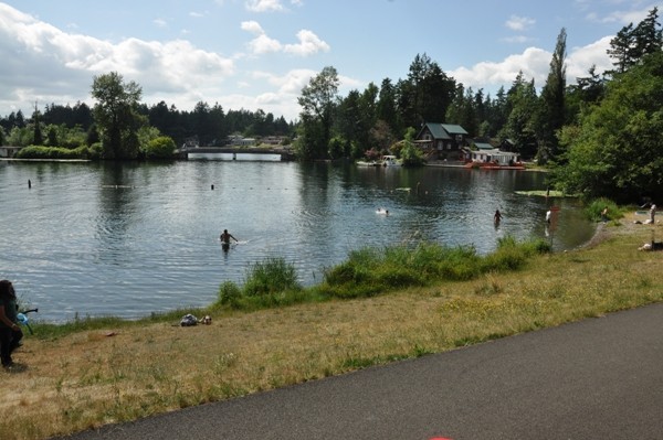 spanaway-lake-swimming.jpg