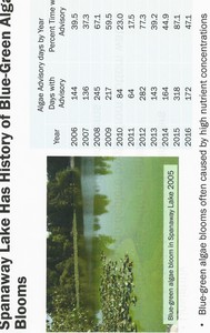 algaeyearphoto.jpg
