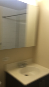 1van2.PNG