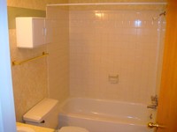 Hall Bath With Surround Shower