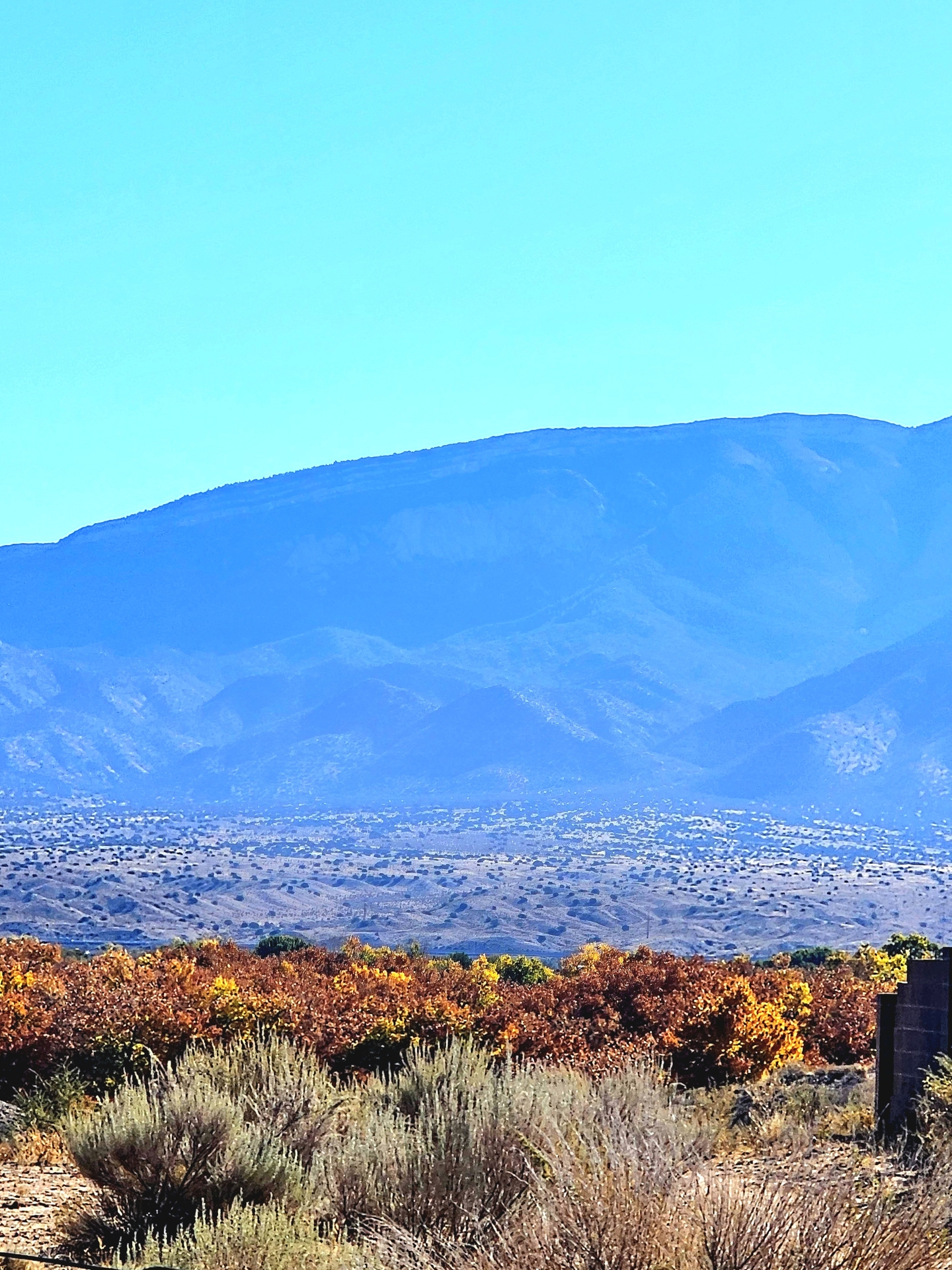 House for Rent Located in the desirable Gated Del b Alegria 55