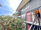 ***FREE APP*** QUIET GARDEN COURT SETTING, FOOT PATHS TO FOREST PARK, W/D, DECK, GARAGE